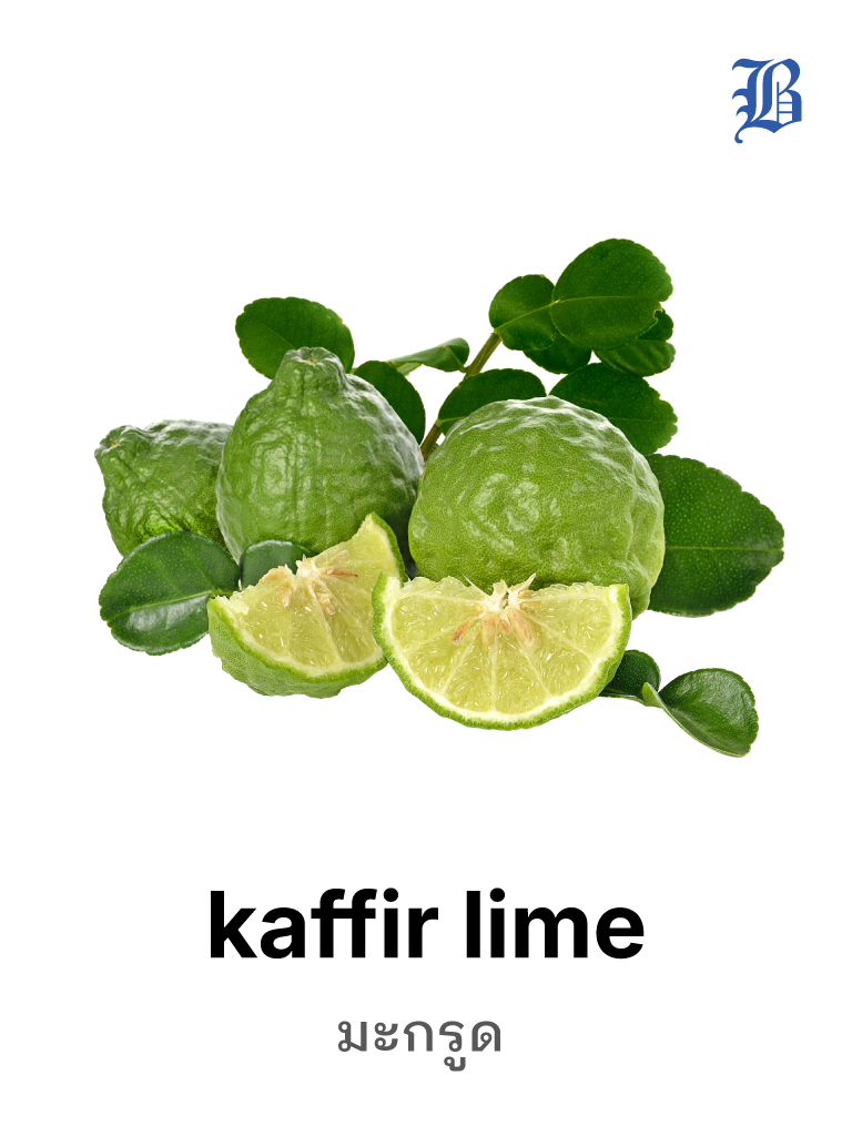 kaffir lime