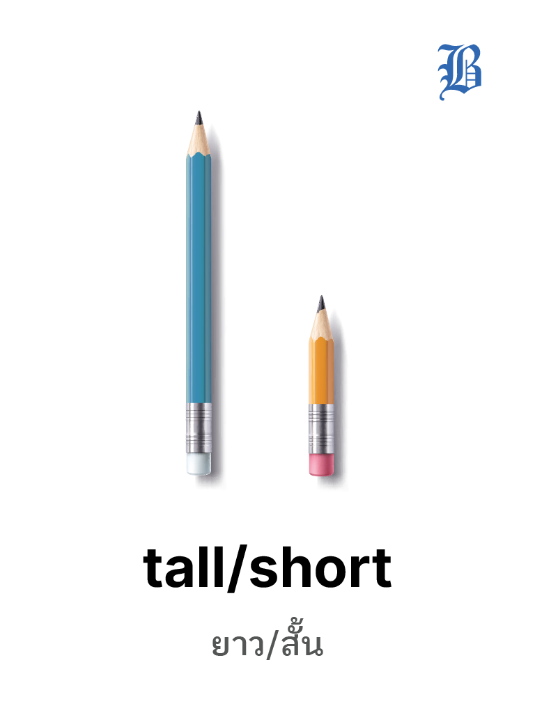 tall / short  