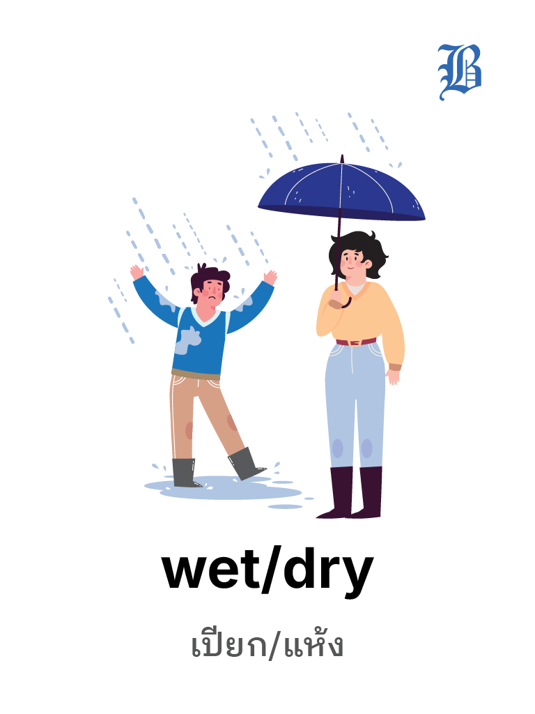 wet / dry  