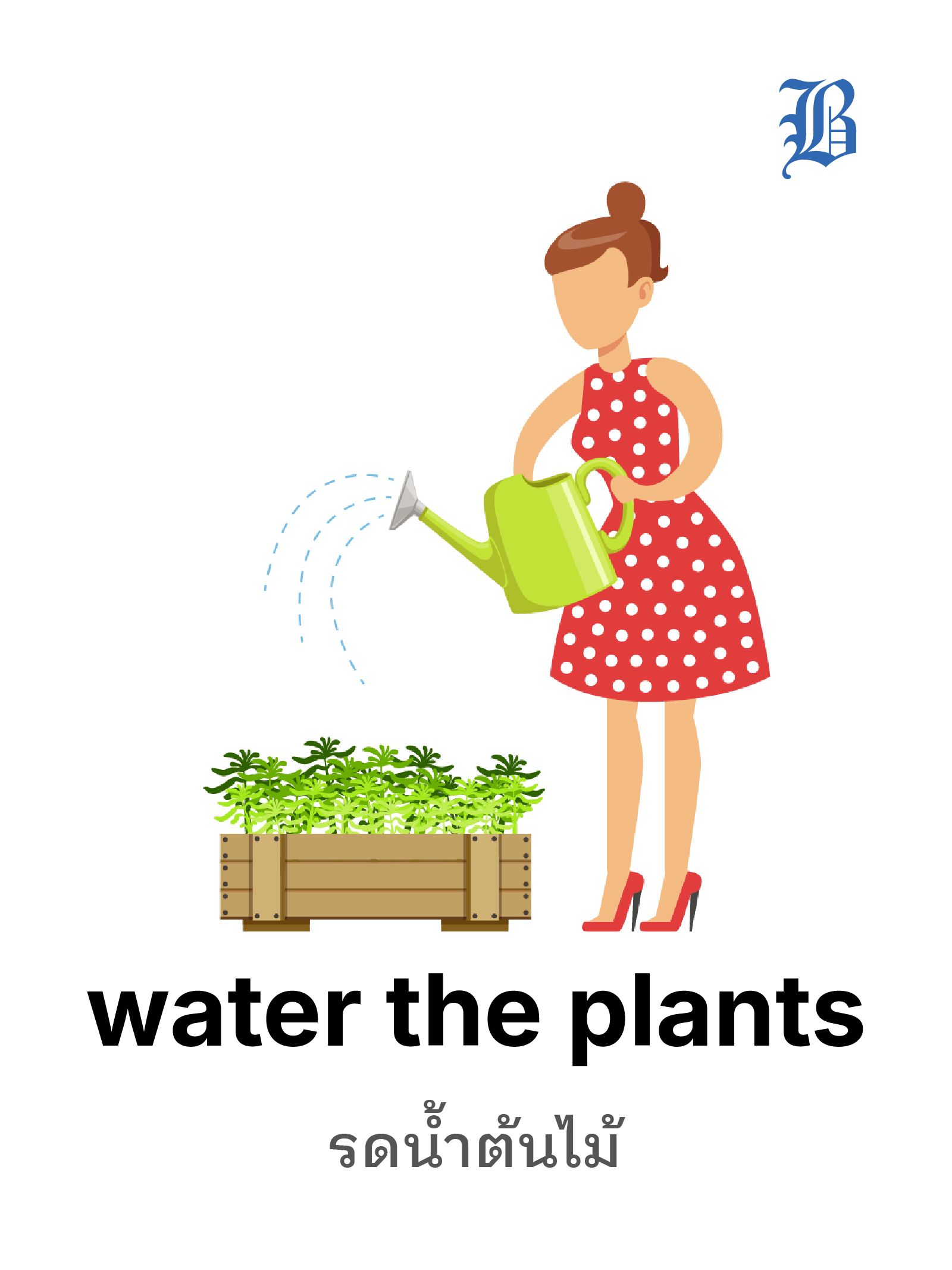 water the plants