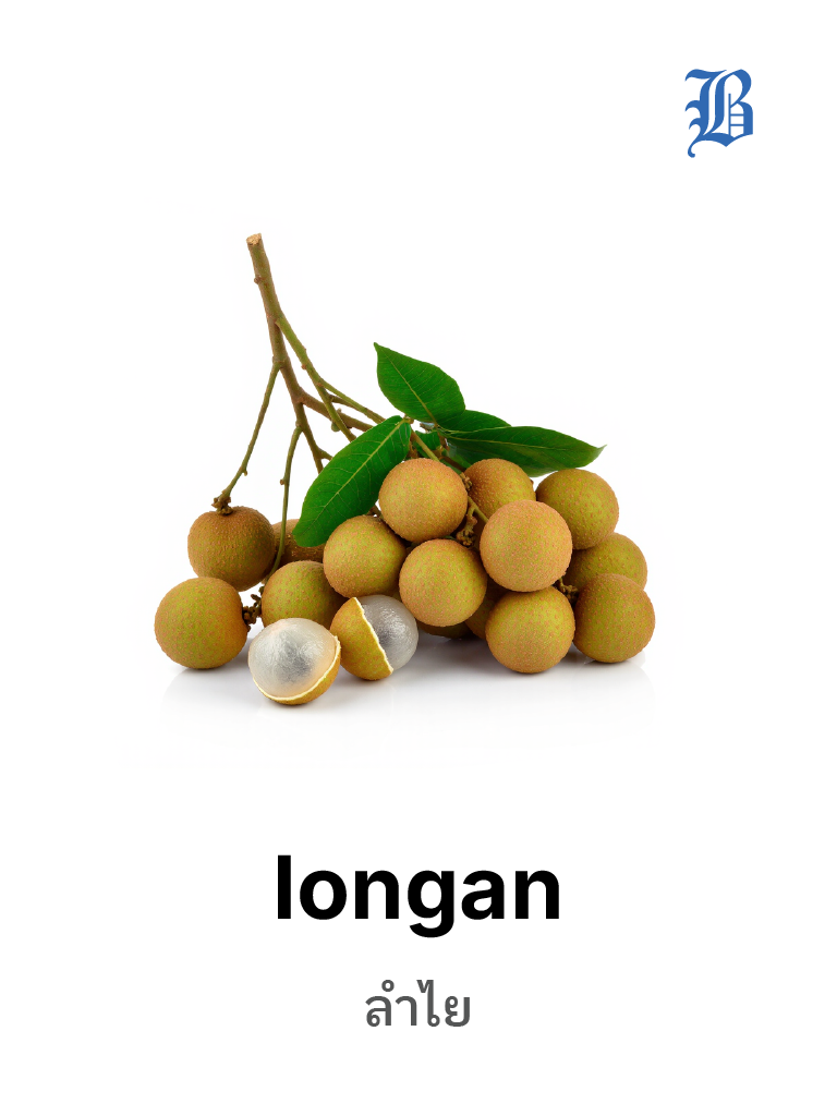 longan