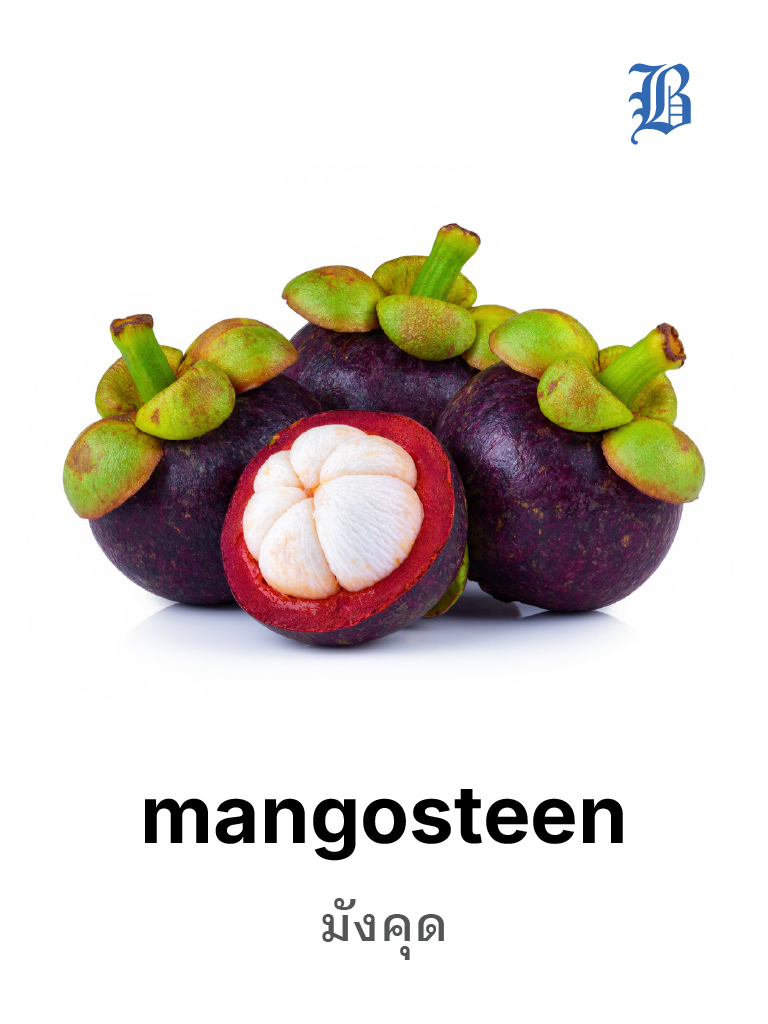 mangosteen