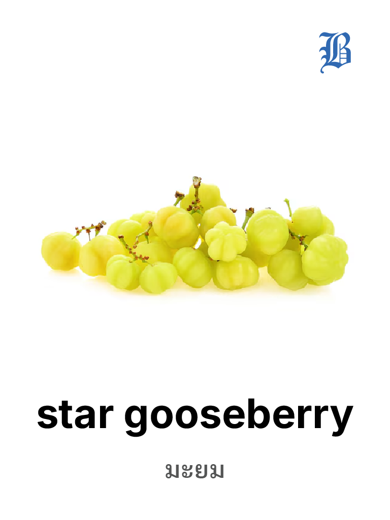 star gooseberry