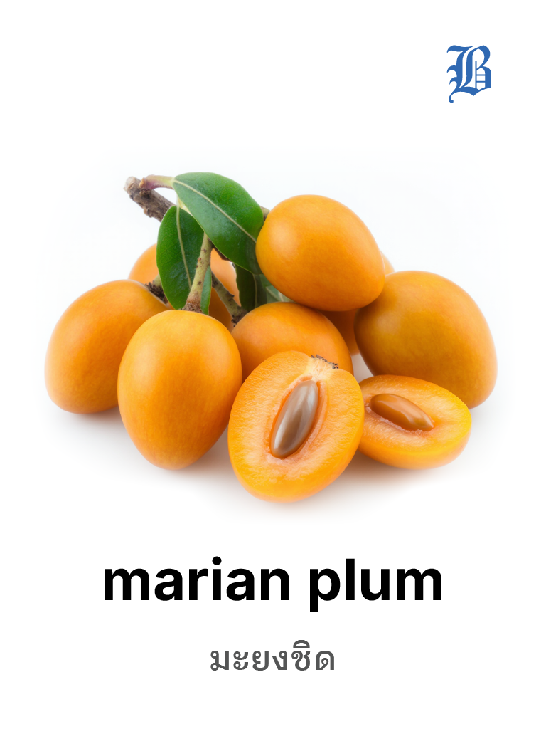 marian plum