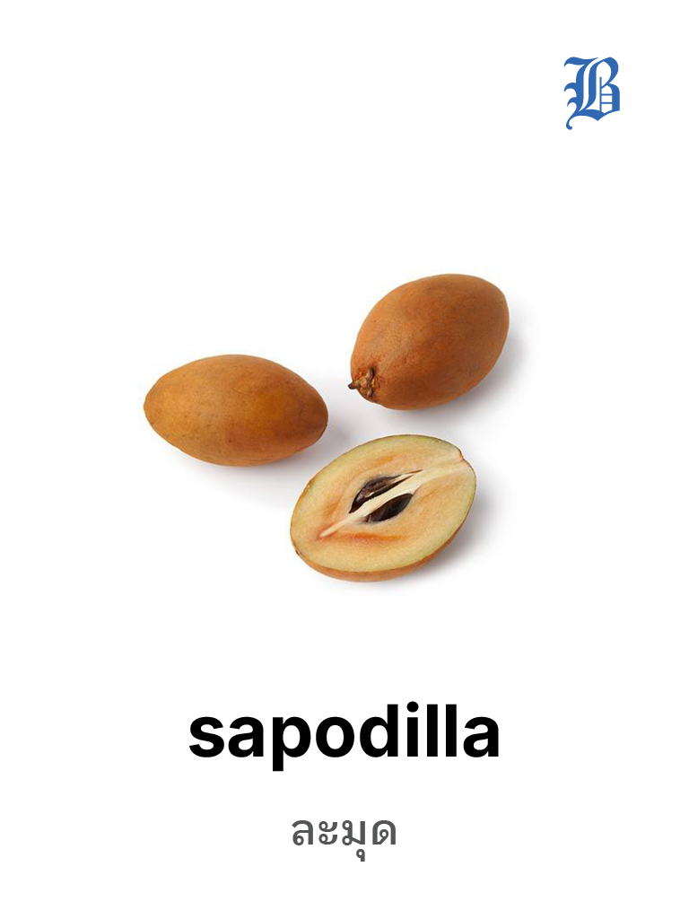 sapodilla