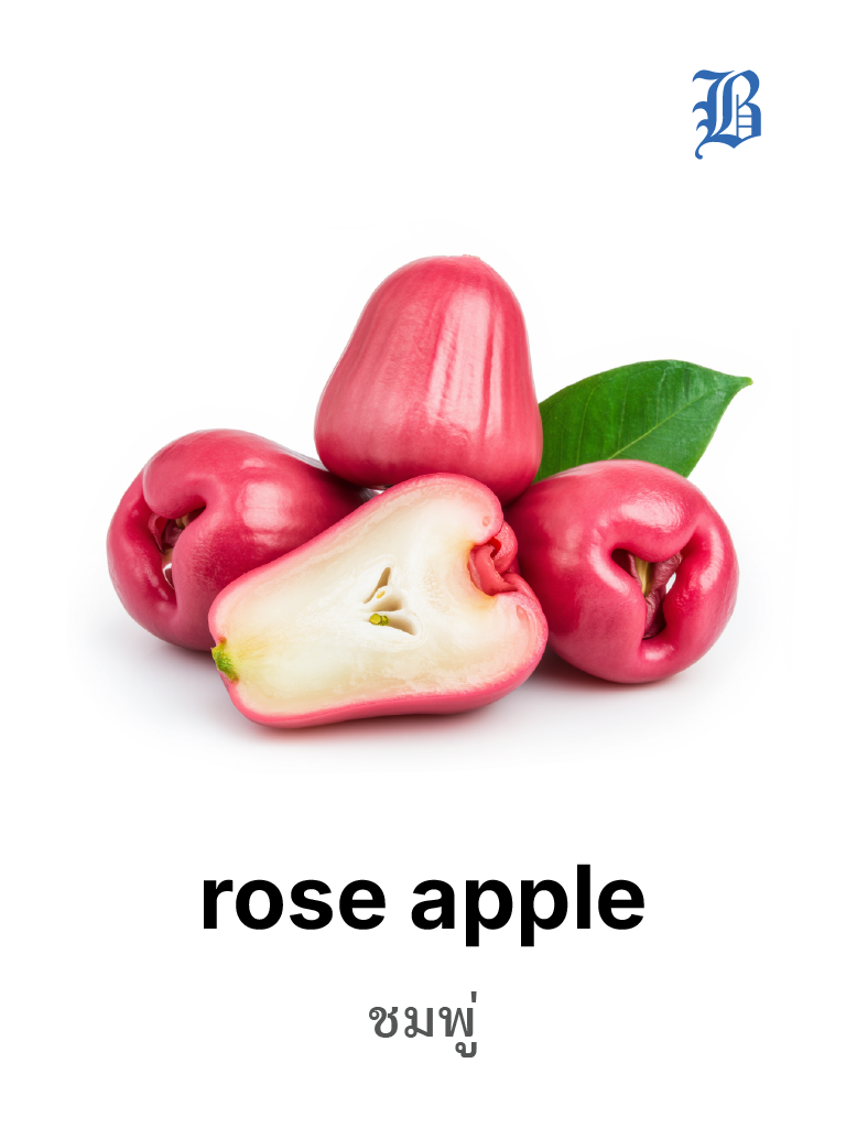 rose apple