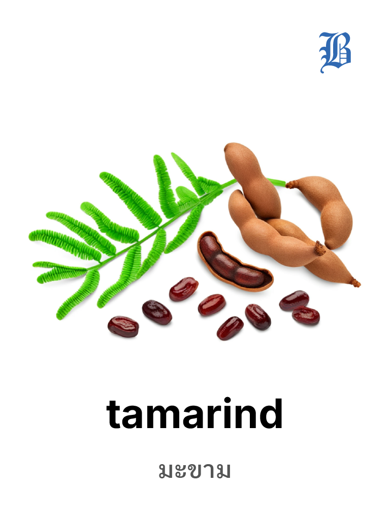 tamarind