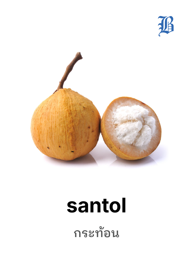 santol