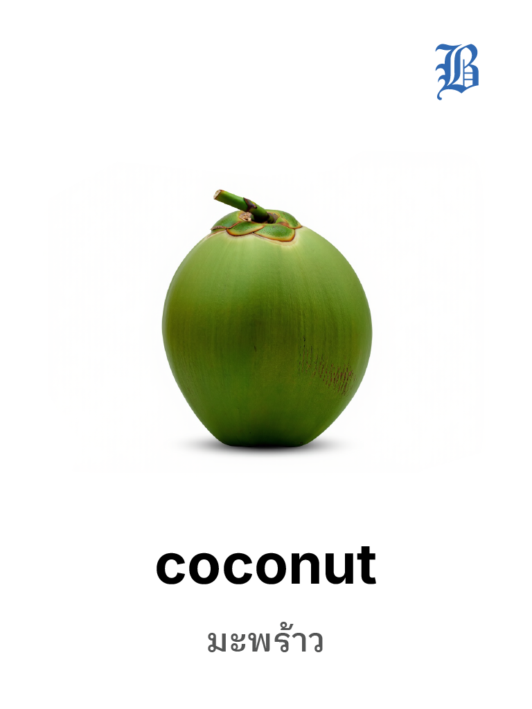 coconut