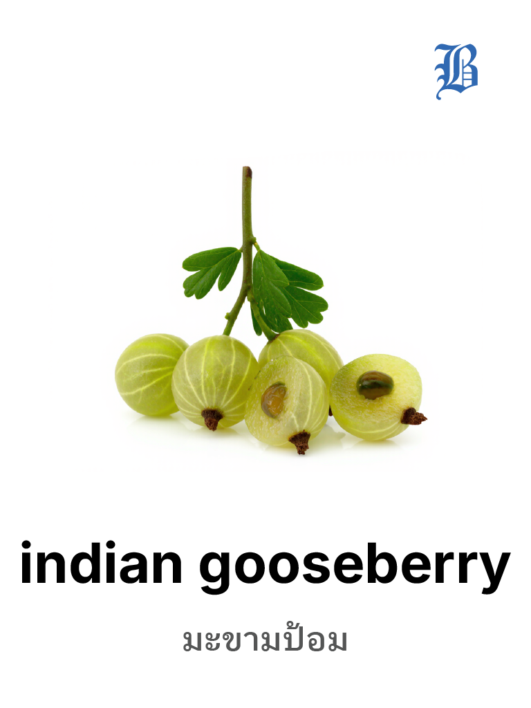 indian gooseberry