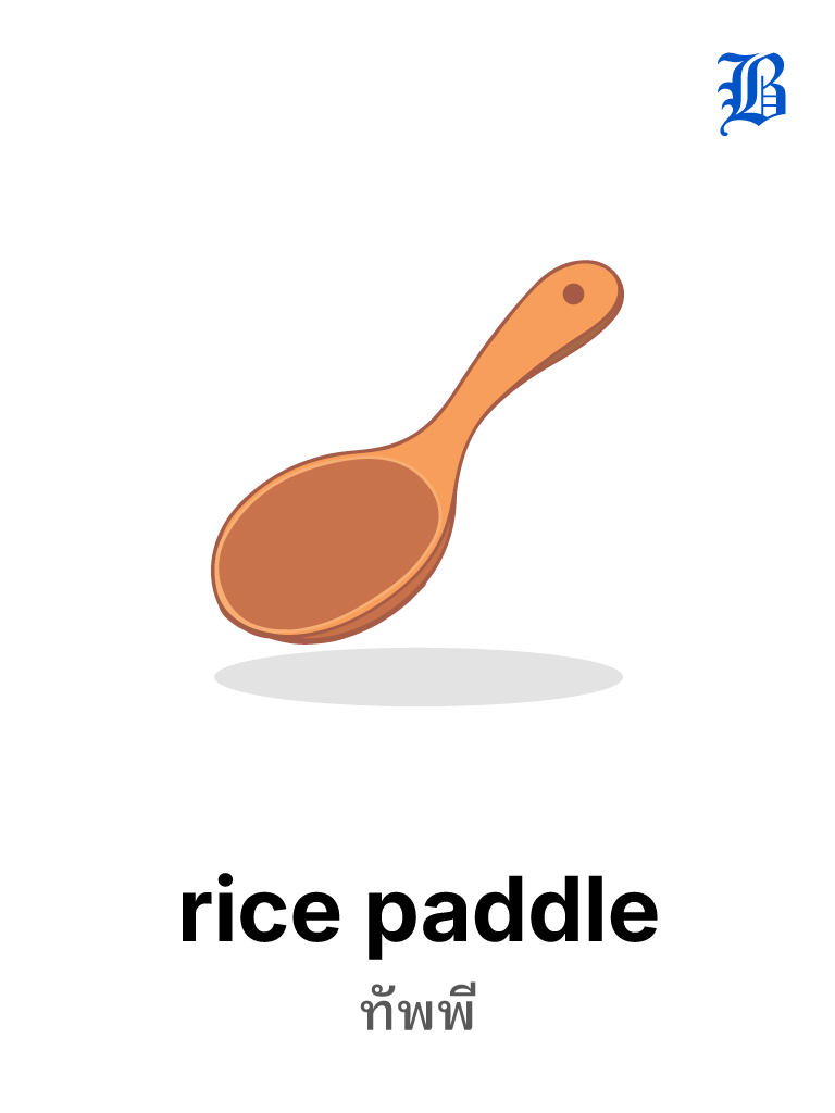 rice paddle