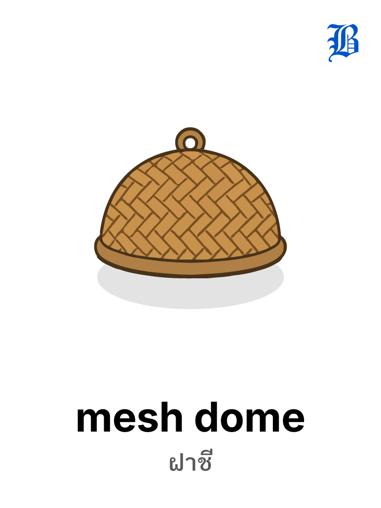 mesh dome