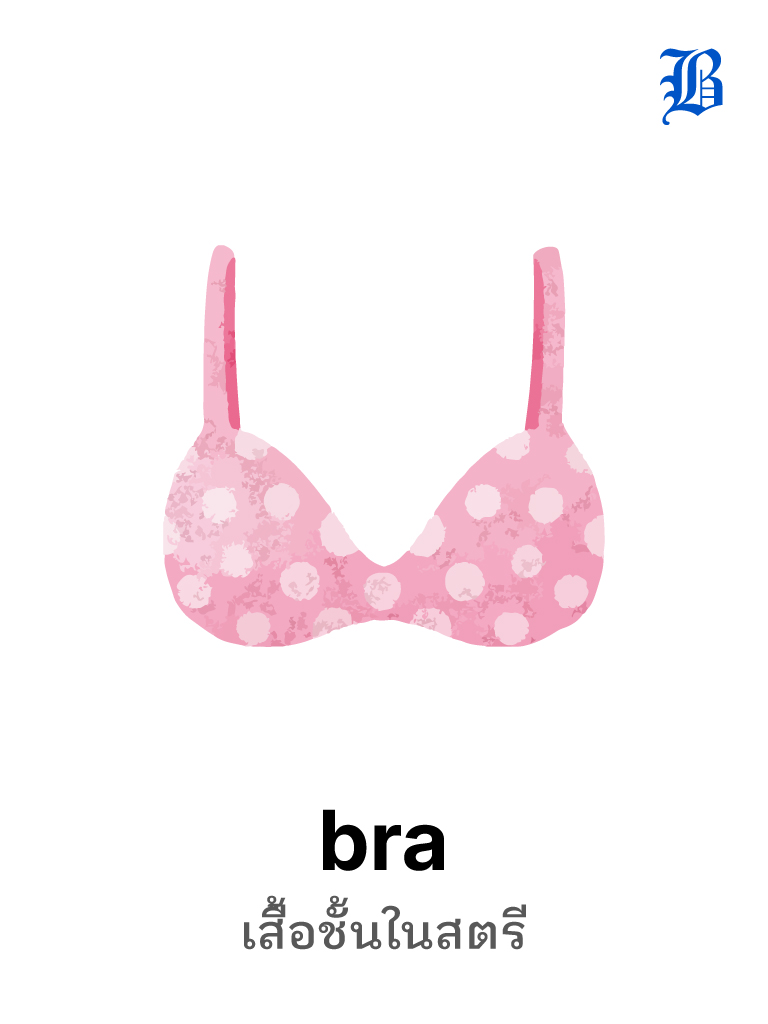 bra