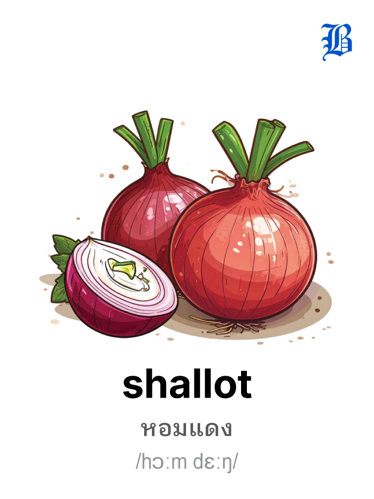 shallot