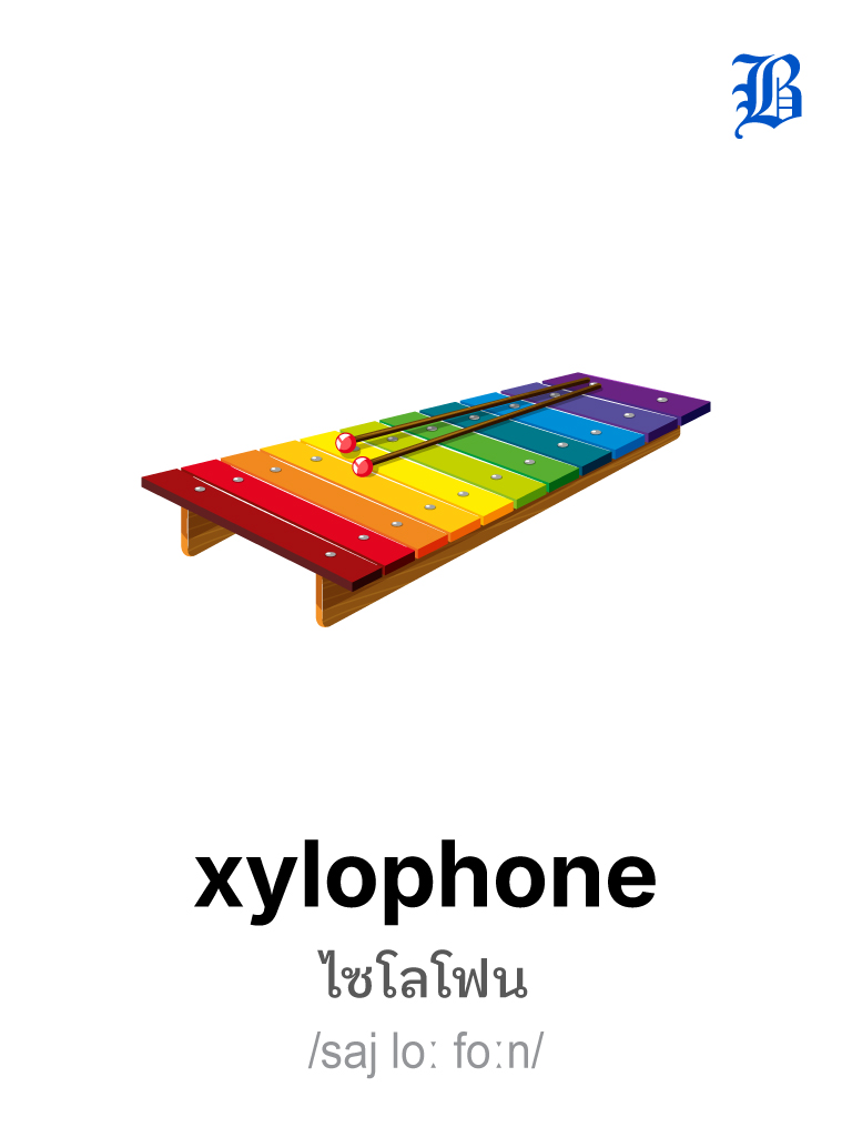 xylophone