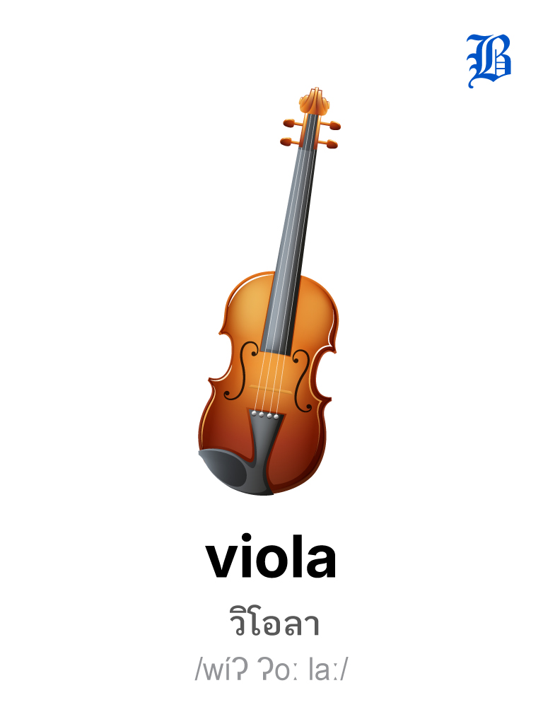 viola