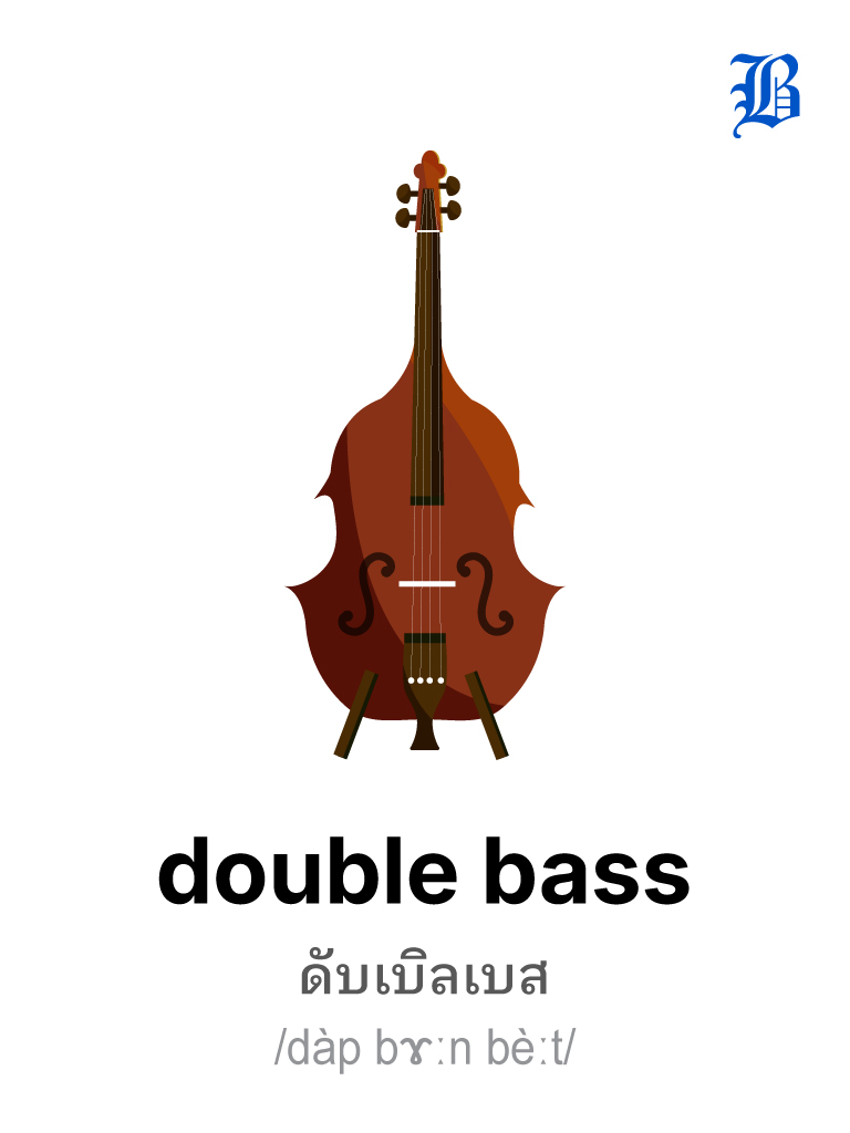 double bass