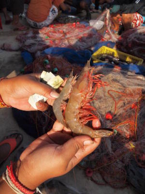 A sea change