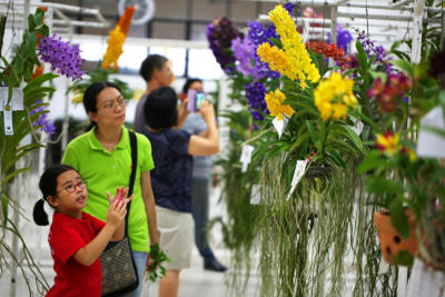 งานเกษตรแฟร์ ประจำปี 2559 มหาวิทยาลัยเกษตรศาสตร์ วิทยาเขตบางเขน