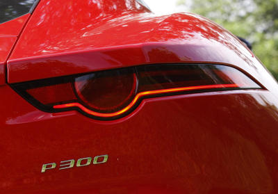 Small-hearted jag