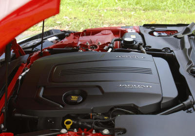 Small-hearted jag