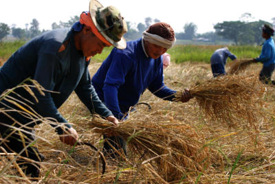 World Bank predicts swelling poverty