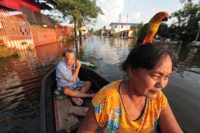 flood-Nonthaburi