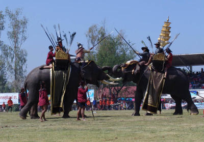 An elephantine feast
