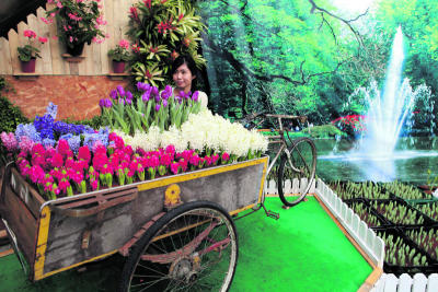 Suan Tulip Non garden