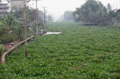 Khlong Maha Sawat