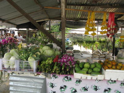 Land of the lotus-growers