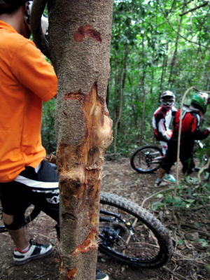 Tame mound, tough ride