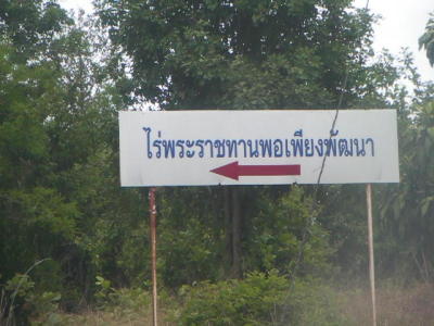 ROAD TO RUIN