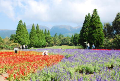 Geothermal gems