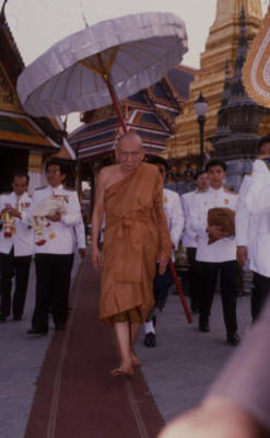 Supreme Patriarch