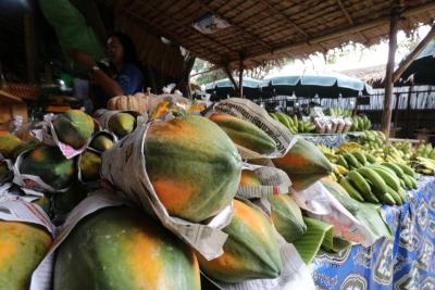 Sampran Organic city