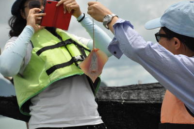 Phangnga's catch of the day