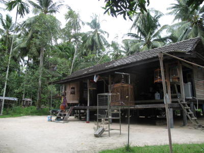 1007Phangan1