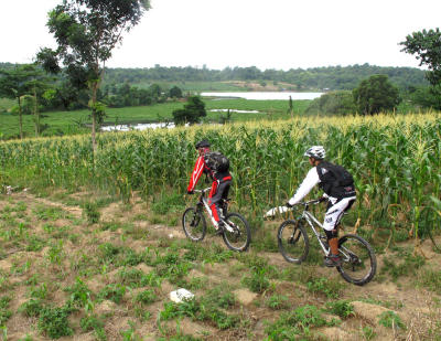 Freewheel Batam