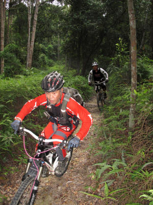 Freewheel Batam
