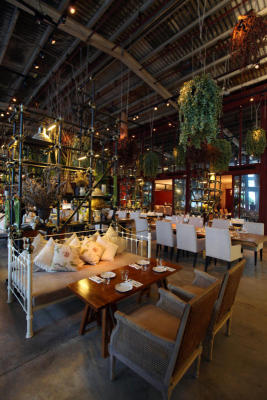 Harvesting dining perfection