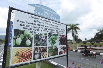 เขตเศรษฐกิจพิเศษสะเดา(For Business)