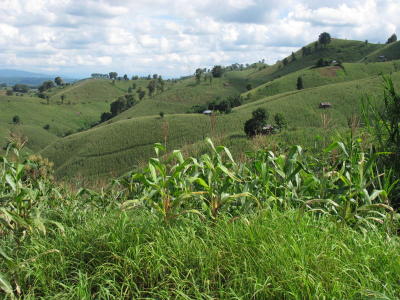 Land rights the key to forest conservation