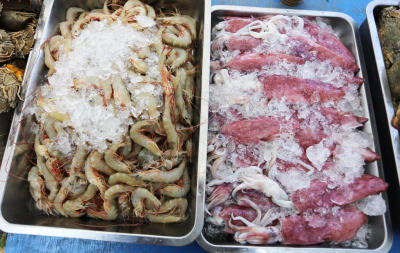 FISH INDUSTRY