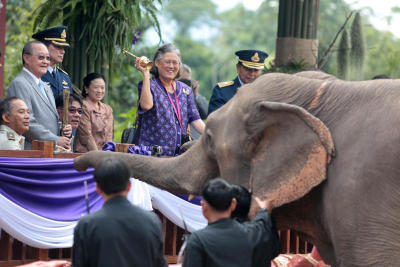 พระเทพฯทรงปล่อยช้างและสัตว์ป่าที่ซับลังกา ลพบุรี