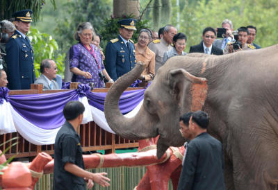 พระเทพฯทรงปล่อยช้างและสัตว์ป่าที่ซับลังกา ลพบุรี