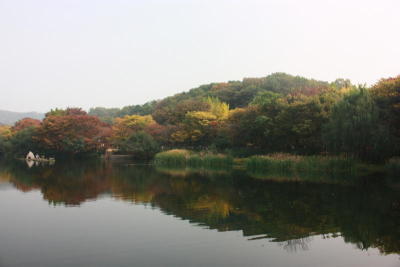 Seoul-less KOREA