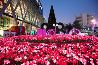 เซ็นทรัลเวิลด์ต้อนรับเทศกาลคริสต์มาส