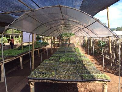Village wins in fight against drug trade