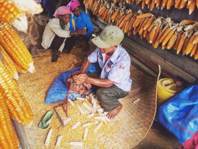 Village wins in fight against drug trade